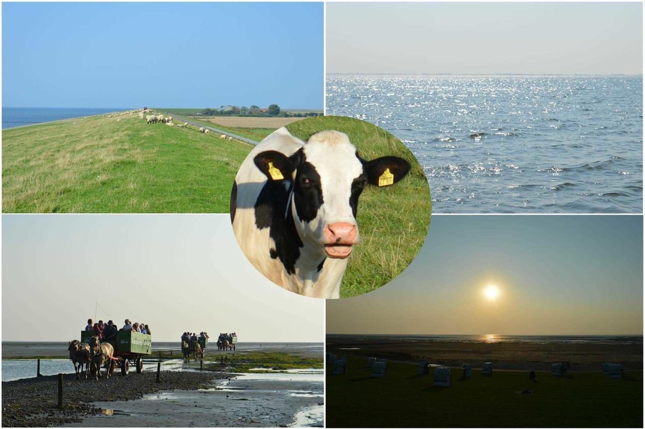 Ferienwohnungen Im Womoland Auf No Nordstrand Exterior foto