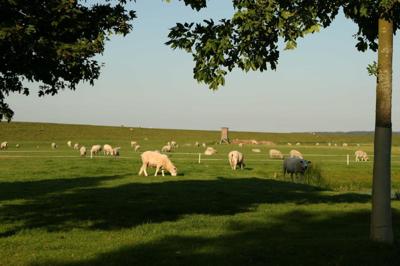 Ferienwohnungen Im Womoland Auf No Nordstrand Exterior foto